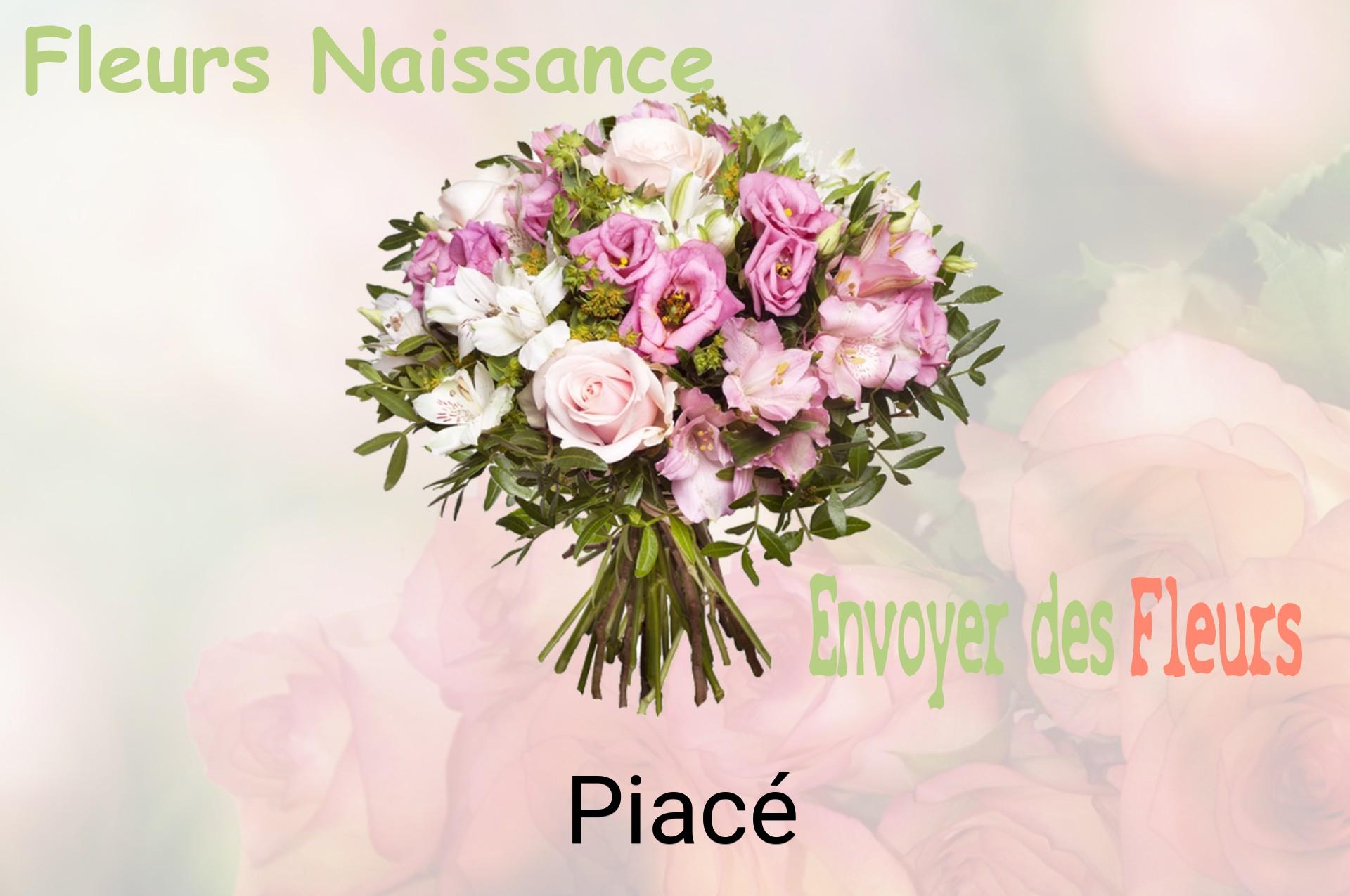 Bouquet de fleurs de naissance livré à Piacé